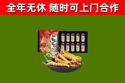 东区回收冬虫夏草价格